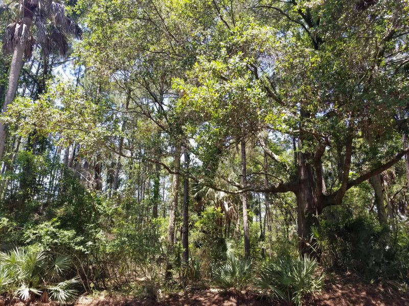 53 Blue Heron Pond Rd, Kiawah Island, SC 29455