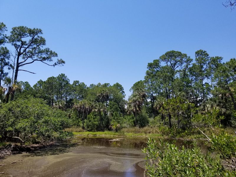 53 Blue Heron Pond Rd, Kiawah Island, SC 29455