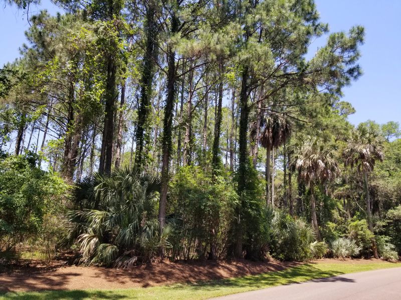 53 Blue Heron Pond Rd, Kiawah Island, SC 29455