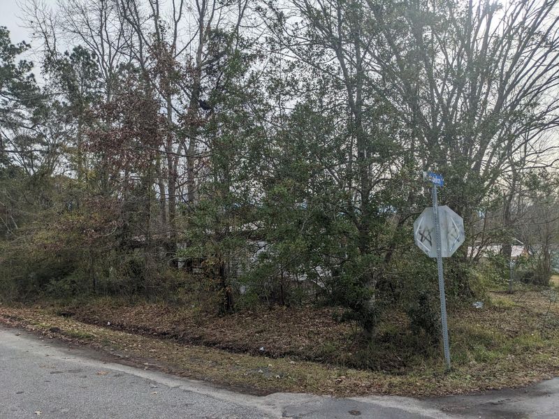 3955 Dandelion Ave, Charleston, SC 29418
