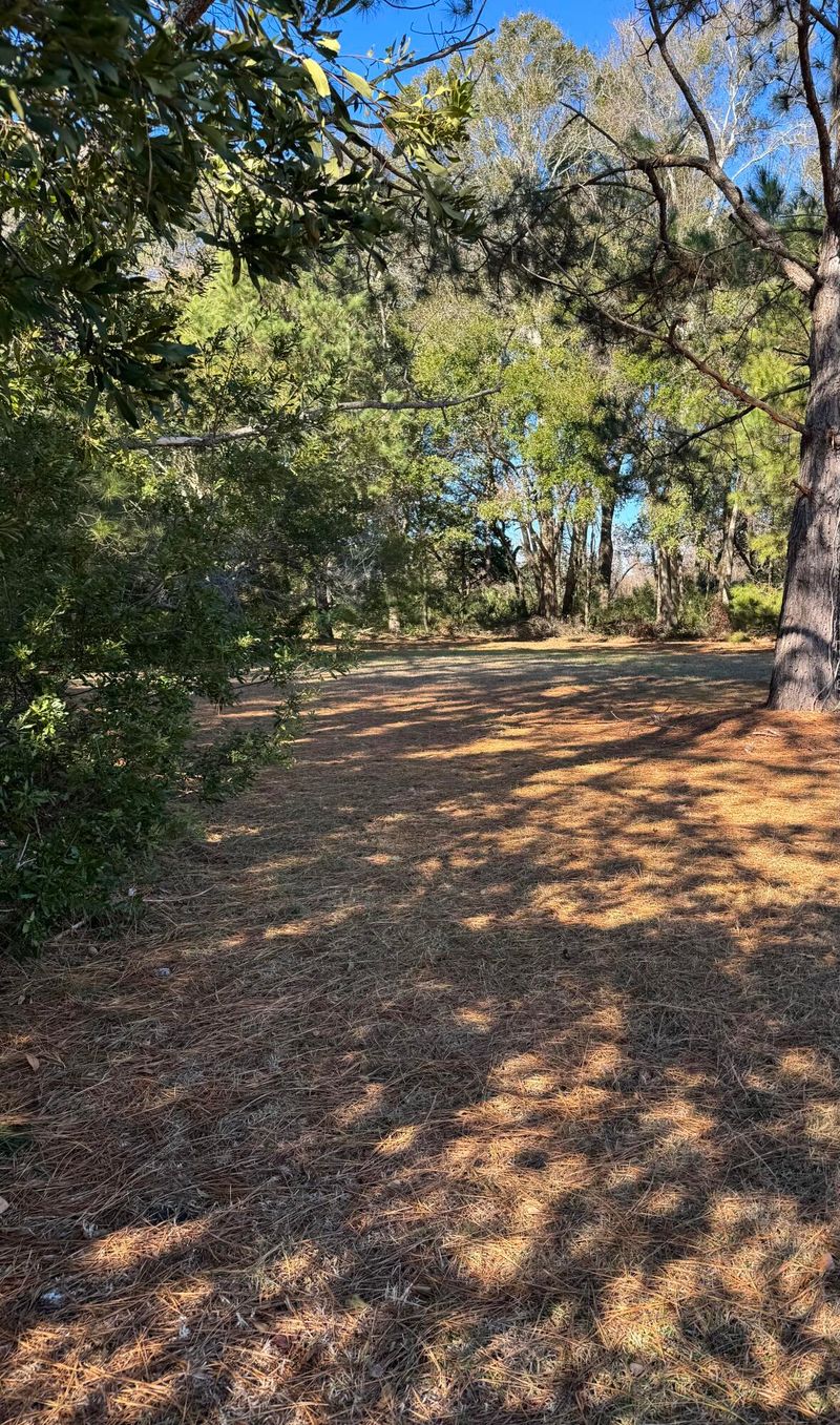 7983 Legare Rd, Edisto Island, SC 29438