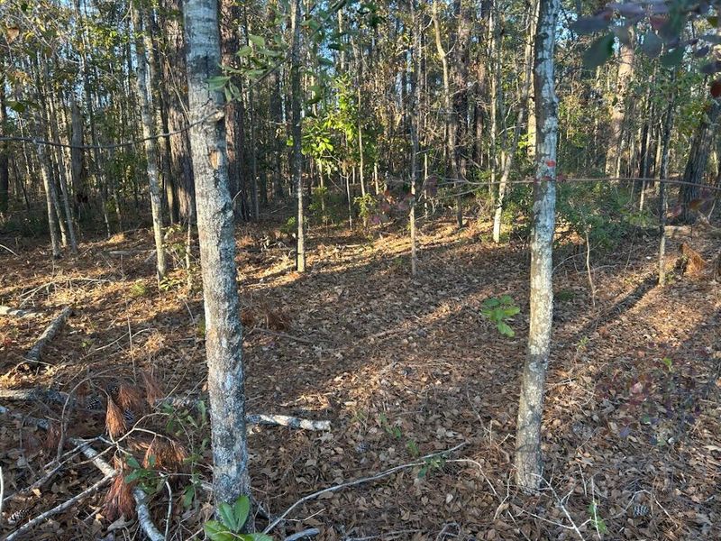 5860 Martin St, Ravenel, SC 29470