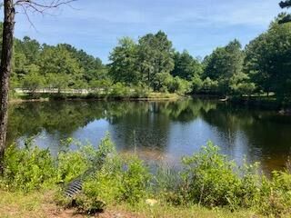 141 Sea Horse Ln, Huger, SC 29450