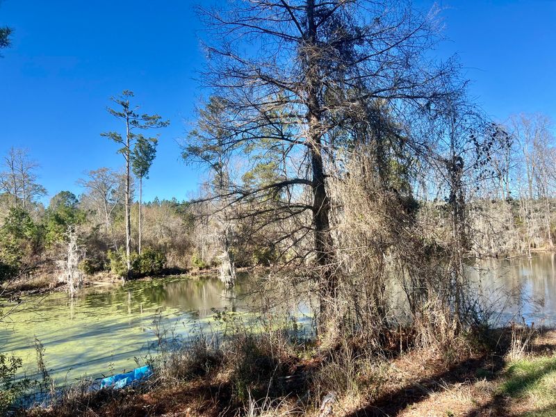 425 Cantley Rd, Harleyville, SC 29448