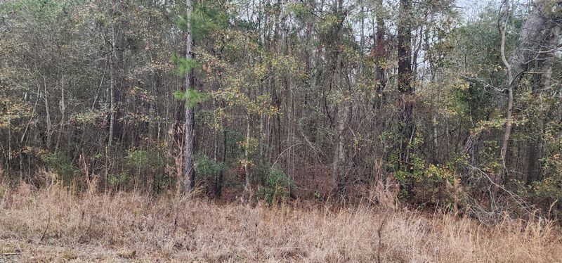 0 Independent School Rd, Reevesville, SC 29471