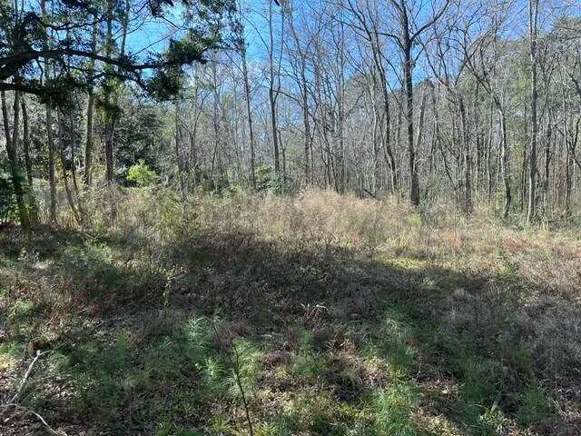 5753 Parkers Ferry Rd, Adams Run, SC 29426