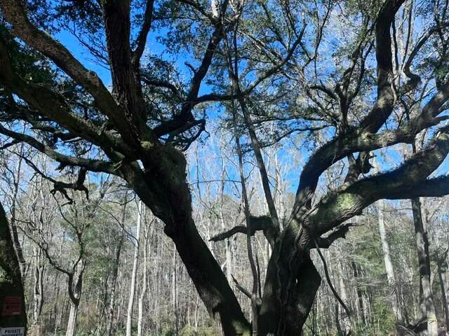 5753 Parkers Ferry Rd, Adams Run, SC 29426