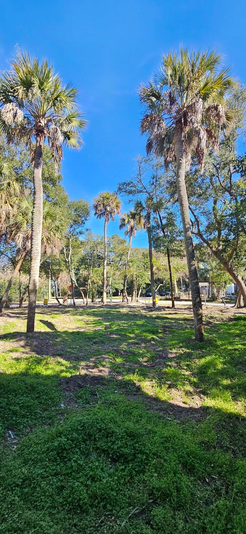120 E Erie Ave, Folly Beach, SC 29439