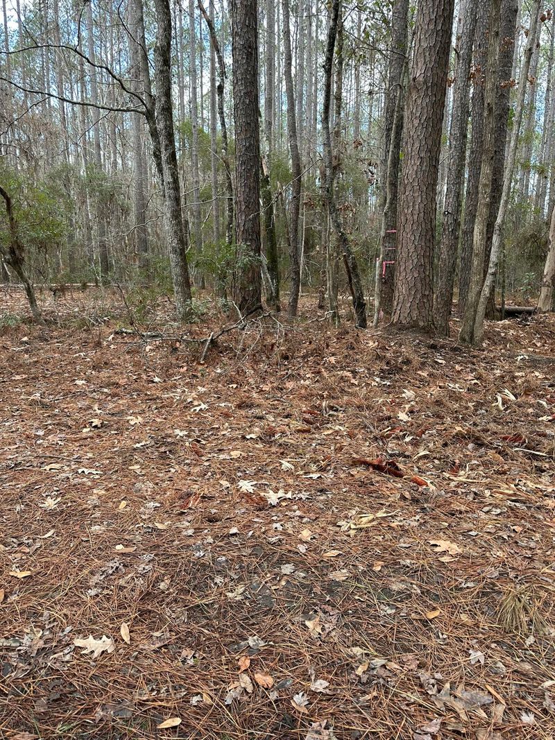00 Cummings Chapel Rd, Ridgeville, SC 29472