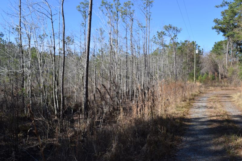 0 Black Tom Rd, Moncks Corner, SC 29461