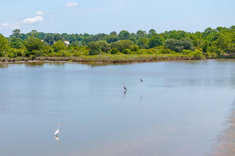 8119 Jack Island Dr, Johns Island, SC 29455