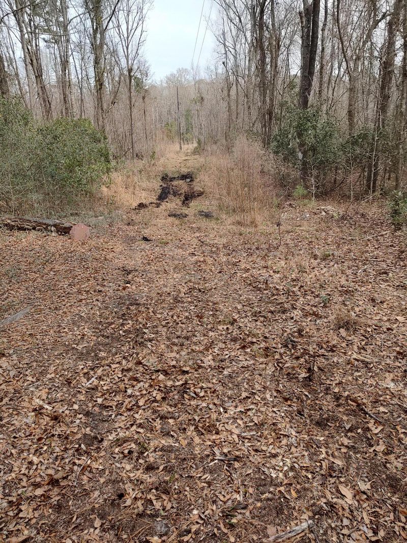 7096 Pumpkinseed Dr, Johns Island, SC 29455
