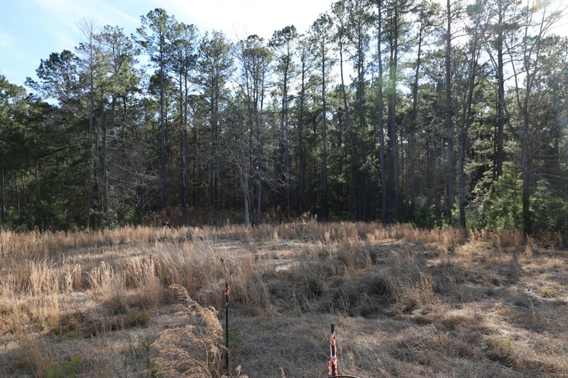 1327 Starline Dr, Summerville, SC 29486