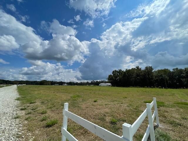 354 Austin Swamp Ln, Ridgeville, SC 29472