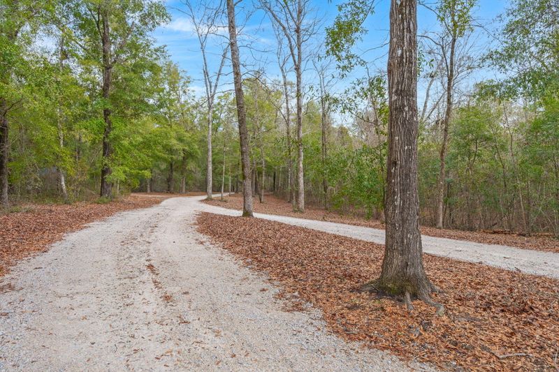 5585 Wire Rd, Branchville, SC 29432