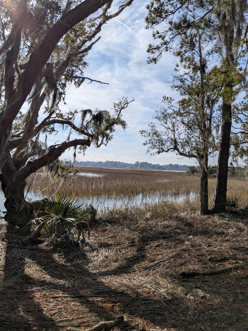 5d Archfield Ave, Meggett, SC 29449