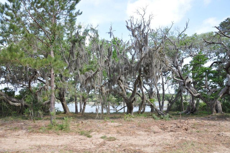 00 Ranch Rd, Wadmalaw Island, SC 29487
