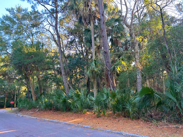 3137 Privateer Creek Rd, Seabrook Island, SC 29455