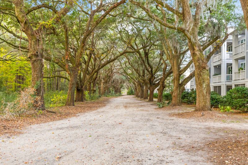 60 Fenwick Hall Allee #521, Johns Island, SC 29455