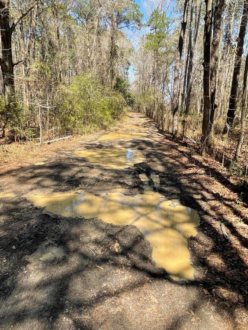 197 Melrose Pl, Moncks Corner, SC 29461