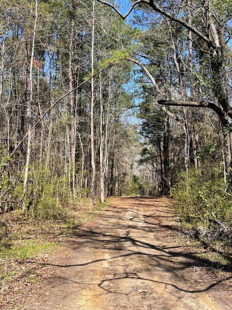 197 Melrose Pl, Moncks Corner, SC 29461