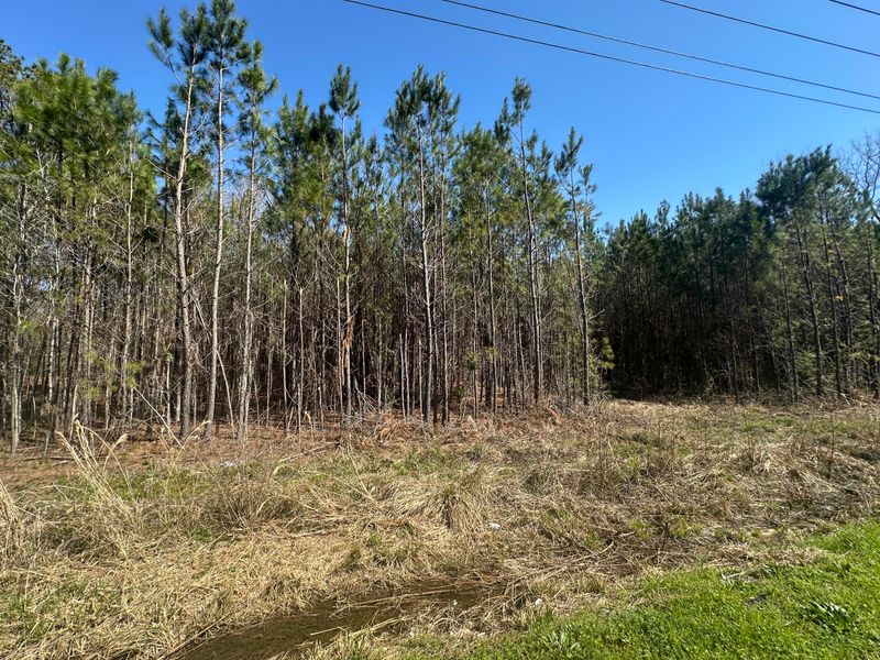 1726 Highway 61, Ridgeville, SC 29472
