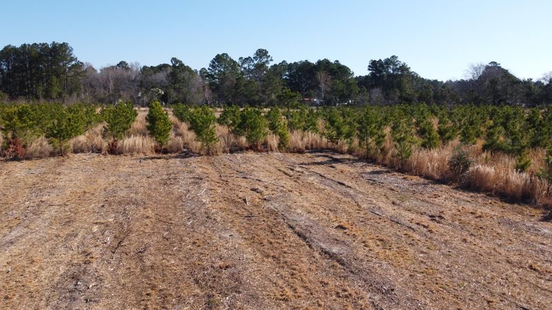 7 Hwy 6, Cross, SC 29436