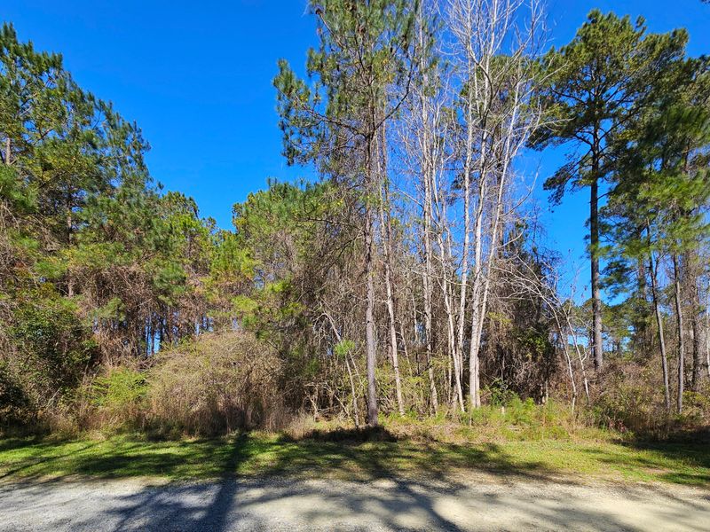 460 Beulah Dr, Mcclellanville, SC 29458