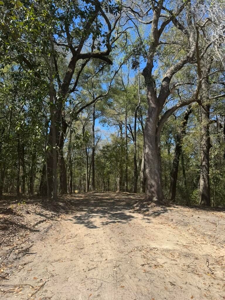 0 Klein St, Walterboro, SC 29488