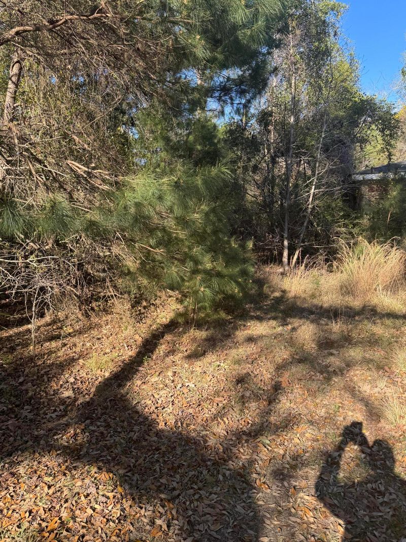 1066 Fred Ravenel Rd, Mount Pleasant, SC 29429