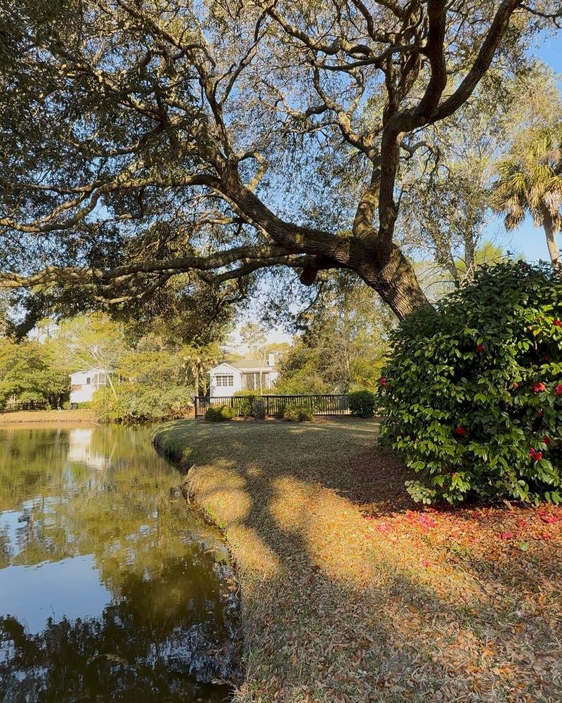 1451 Inland Creek Way, Mount Pleasant, SC 29464