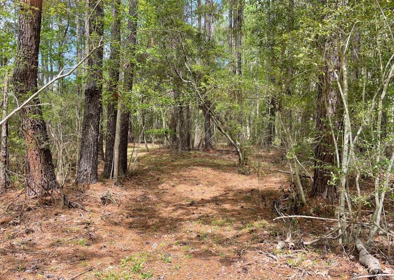 4831 Walking Horse Rd, Meggett, SC 29449