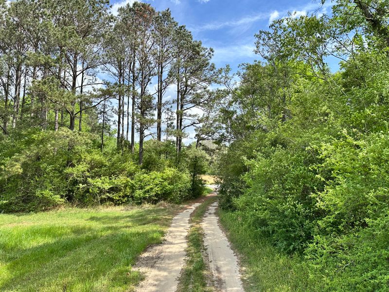 2235 Highway 45, Pineville, SC 29468
