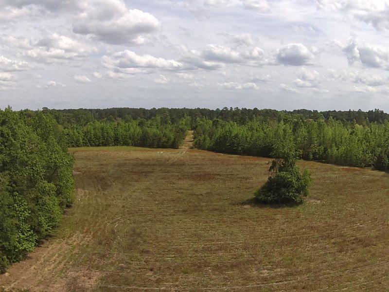 001 Alonzo Rd, Saint George, SC 29477