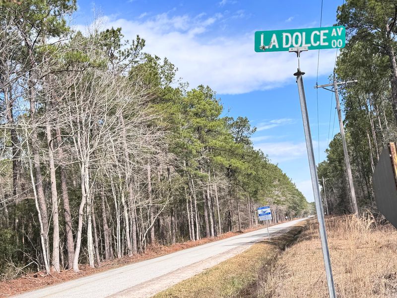 172 La Dolce Ave, Ridgeville, SC 29472
