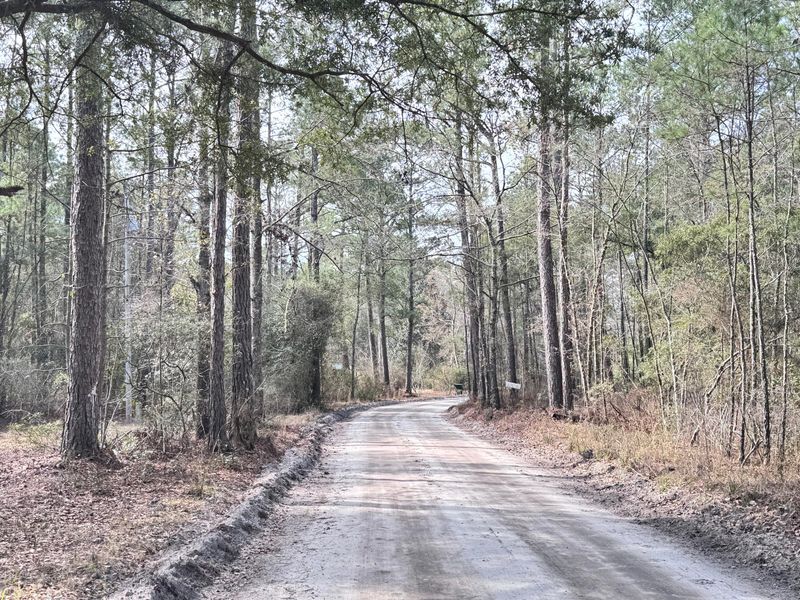 172 La Dolce Ave, Ridgeville, SC 29472