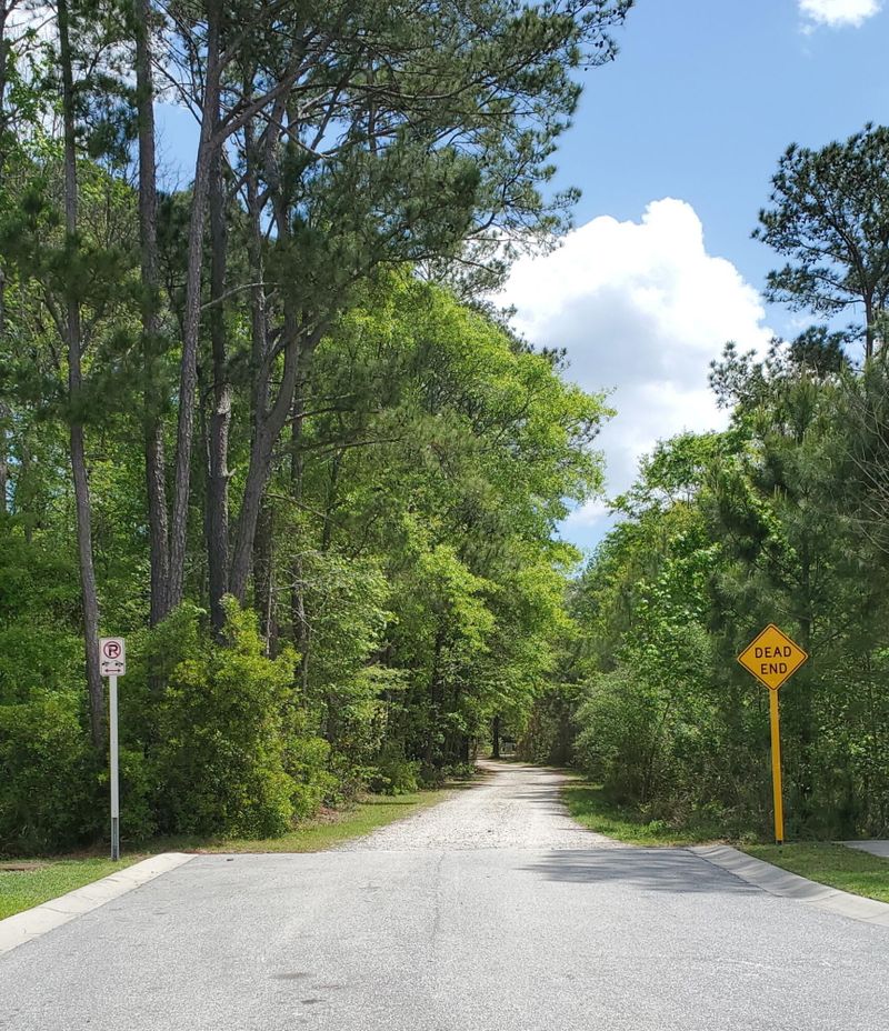 2744 Pinelog Ln, Johns Island, SC 29455