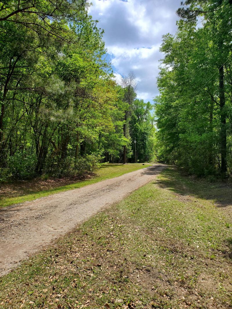 2744 Pinelog Ln, Johns Island, SC 29455