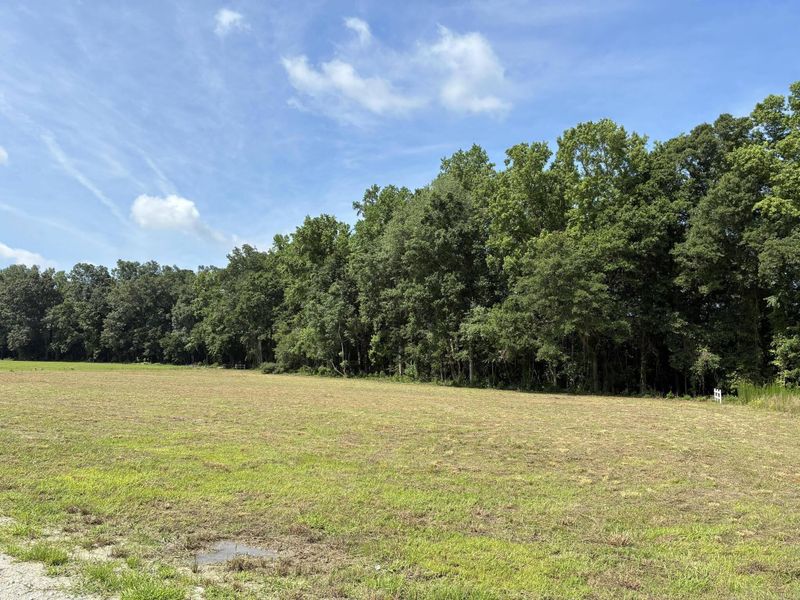 425 Wiggins Estates Ln, Holly Hill, SC 29059