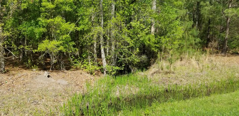 0 Rabb St, Walterboro, SC 29488