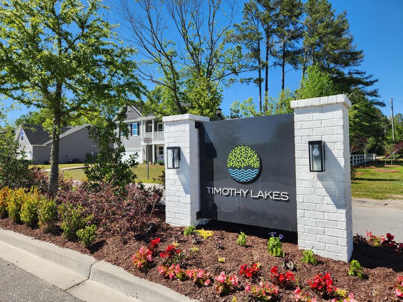 283 Darby Meadow Ln, Ridgeville, SC 29472