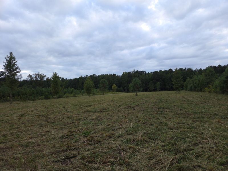 00 Flatwoods Rd, Reevesville, SC 29471