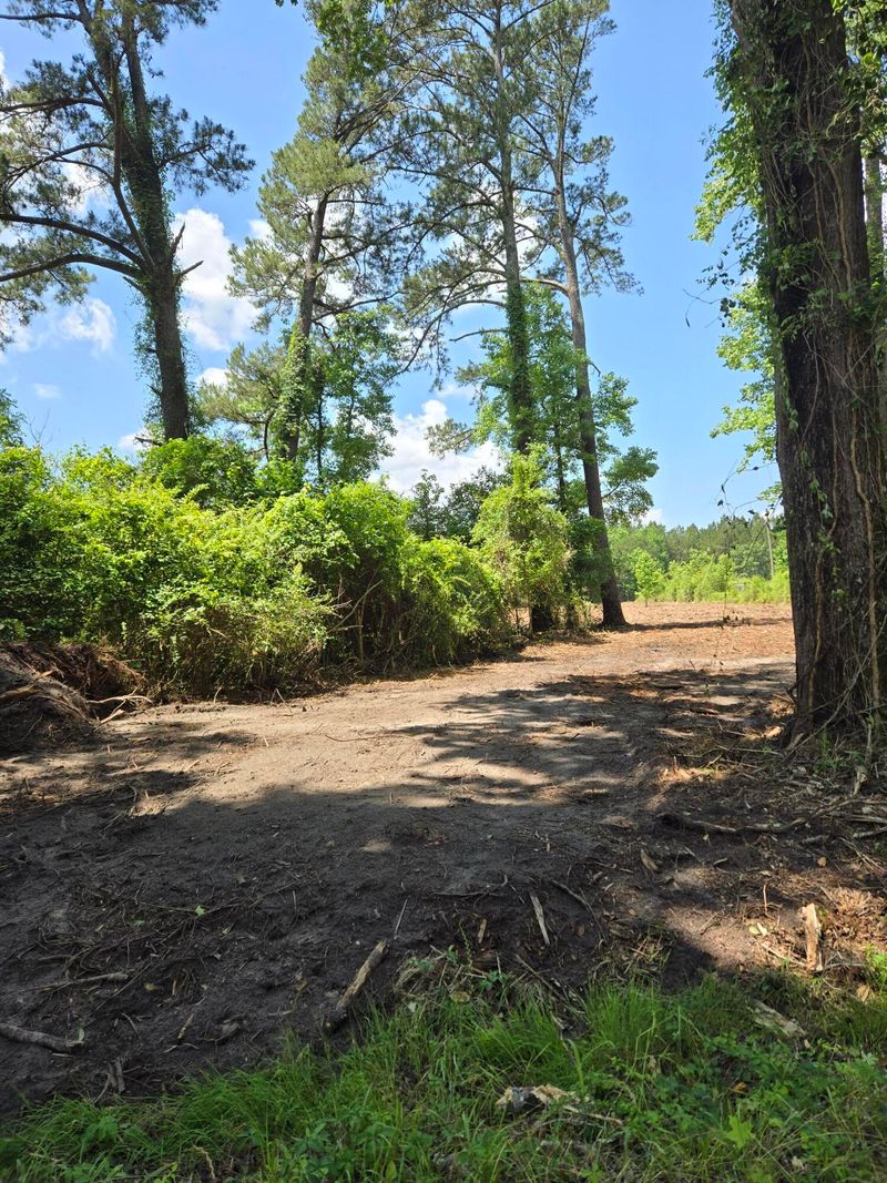 00 Flatwoods Rd, Reevesville, SC 29471