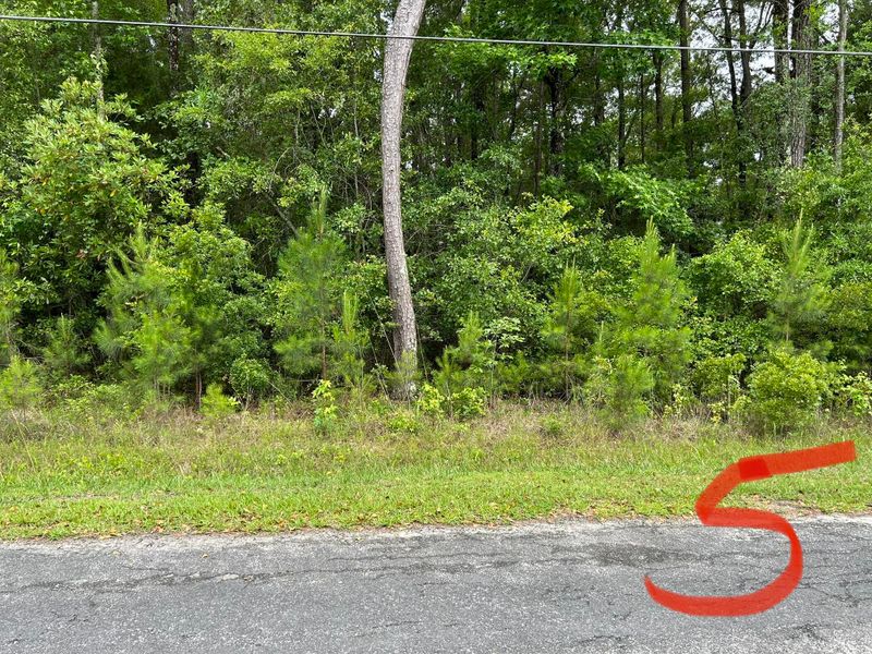 0 Upton Rd, Saint Stephen, SC 29479