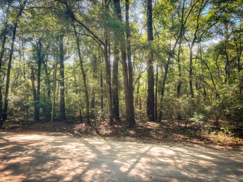 2127 Leadenwah Dr, Wadmalaw Island, SC 29487