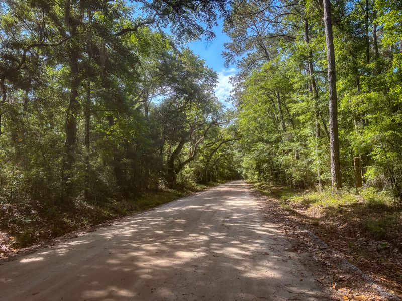2127 Leadenwah Dr, Wadmalaw Island, SC 29487