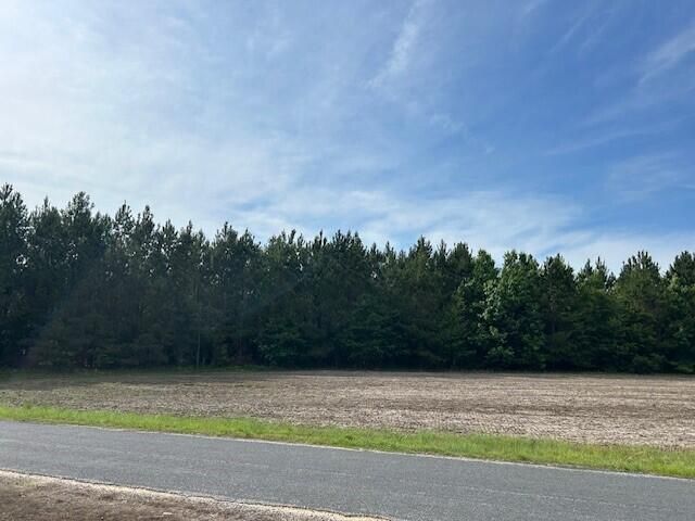 1 Reeves Farm Rd, Saint George, SC 29477