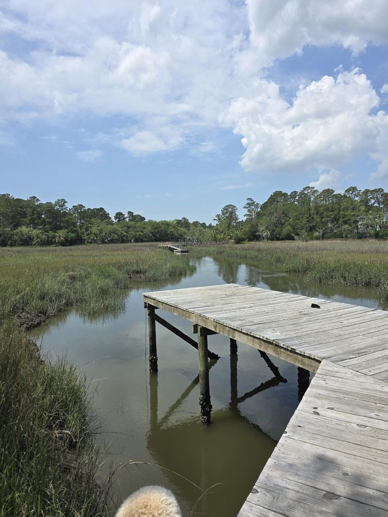261 Mossy Oak Way, Mount Pleasant, SC 29464