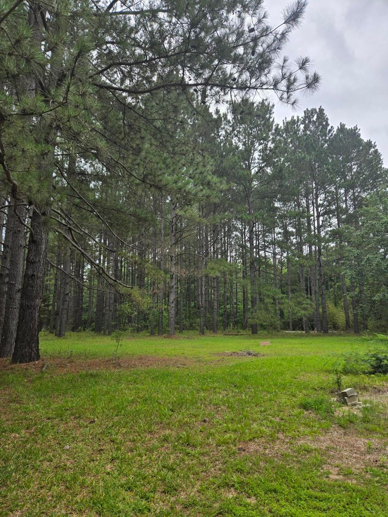 194 Sunnydale Rd, Reevesville, SC 29471