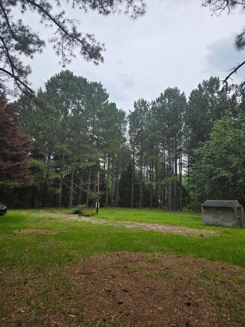 194 Sunnydale Rd, Reevesville, SC 29471